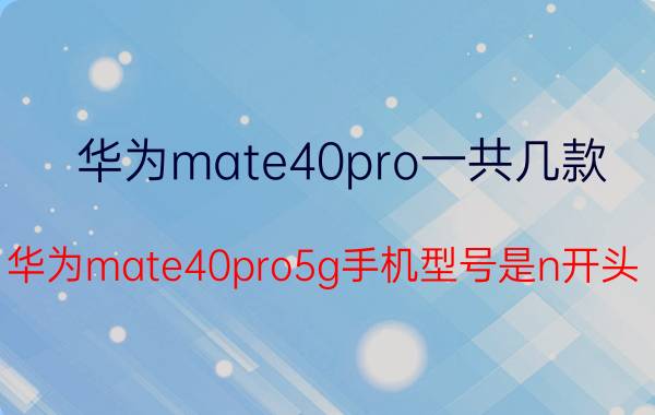 华为mate40pro一共几款 华为mate40pro5g手机型号是n开头？